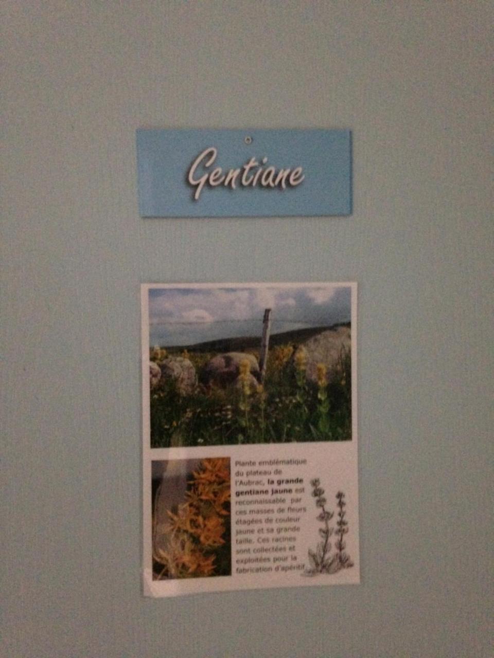 Gite Du Forail Laguiole Luaran gambar